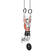Weighted Muscle Up animated exercise demonstration
