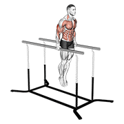 Elbow Dips animated exercise demonstration