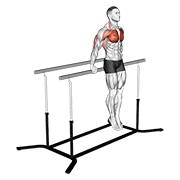 Korean Dips animated exercise demonstration