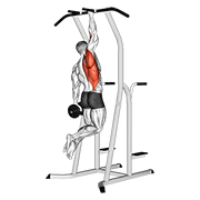 Weighted One Hand Pull Up animated exercise demonstration