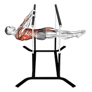 Front Lever Reps animated exercise demonstration