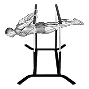 Back Lever animated exercise demonstration