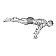 Full Planche animated exercise demonstration