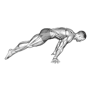 Lean Planche animated exercise demonstration