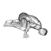 Frog Planche animated exercise demonstration