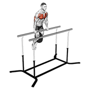Weighted Straight Bar Dip animated exercise demonstration