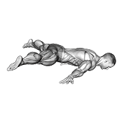 Straddle Maltese animated exercise demonstration