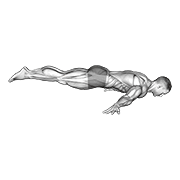 Full Maltese animated exercise demonstration