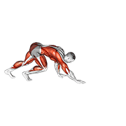 Bear Crawl animated exercise demonstration