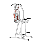 L-Pull-Up animated exercise demonstration