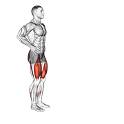 Forward Lunge (Male) animated exercise demonstration