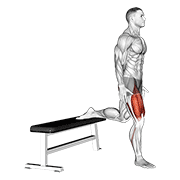 Quads animated exercise demonstration