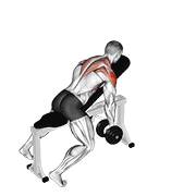 Dumbbell Incline Y-Raise animated exercise demonstration