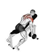 Dumbbell Incline T-Raise animated exercise demonstration