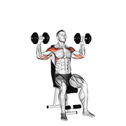 Dumbbell Seated Alternate Shoulder animated exercise demonstration