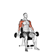 Dumbbell Seated Biceps Curl To Shoulder Press animated exercise demonstration