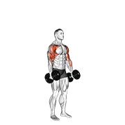 Dumbbell Standing Alternate Hammer Curl And Press animated exercise demonstration