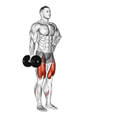 Dumbbell Contralateral Forward Lunge animated exercise demonstration