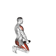 Weighted Kneeling Step With Swing animated exercise demonstration