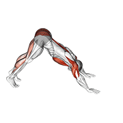 Pike-To-Cobra Push-Up animated exercise demonstration