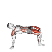 Reverse Plank With Leg Lift animated exercise demonstration