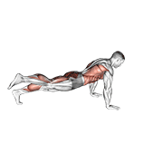 Power Point Plank animated exercise demonstration