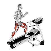 Walking On Incline Treadmill animated exercise demonstration