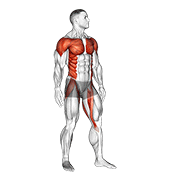 Standing Archer animated exercise demonstration