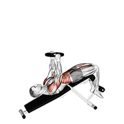 Weighted Decline Sit-Up animated exercise demonstration