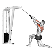 Cable Kneeling Rear Delt Row (With Rope) (Male) animated exercise demonstration