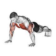 Shoulder Tap animated exercise demonstration