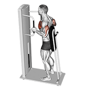 Lever Standing Chest Press animated exercise demonstration