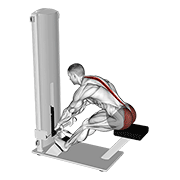 Lever Seated Good Morning animated exercise demonstration