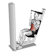 Lever Seated Crunch V. 2 animated exercise demonstration