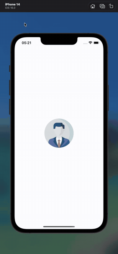 Flow Showcase walkthrough demo