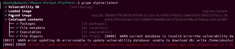 Grype container image vulnerability scan output