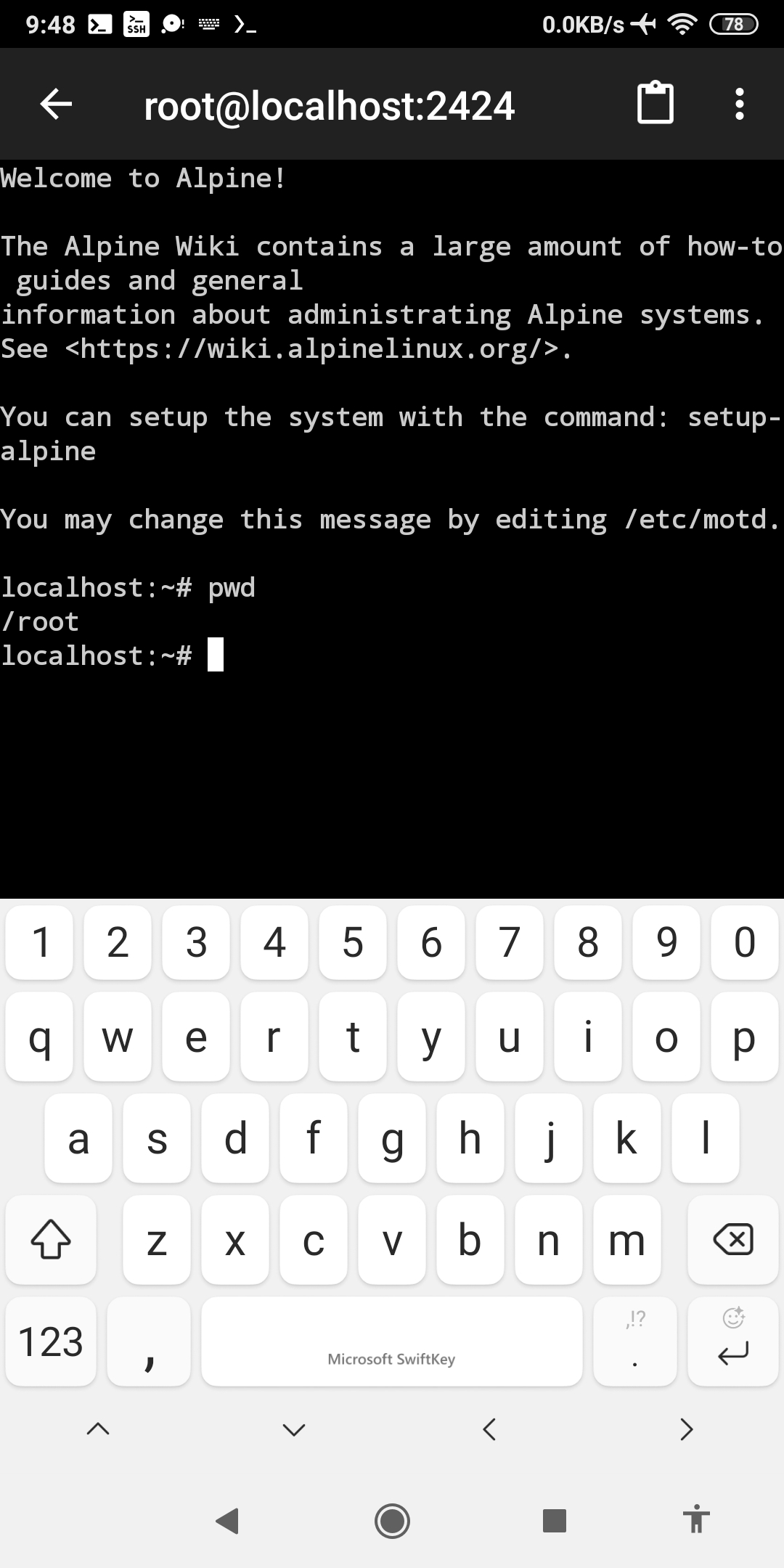 SSHD Client Terminal