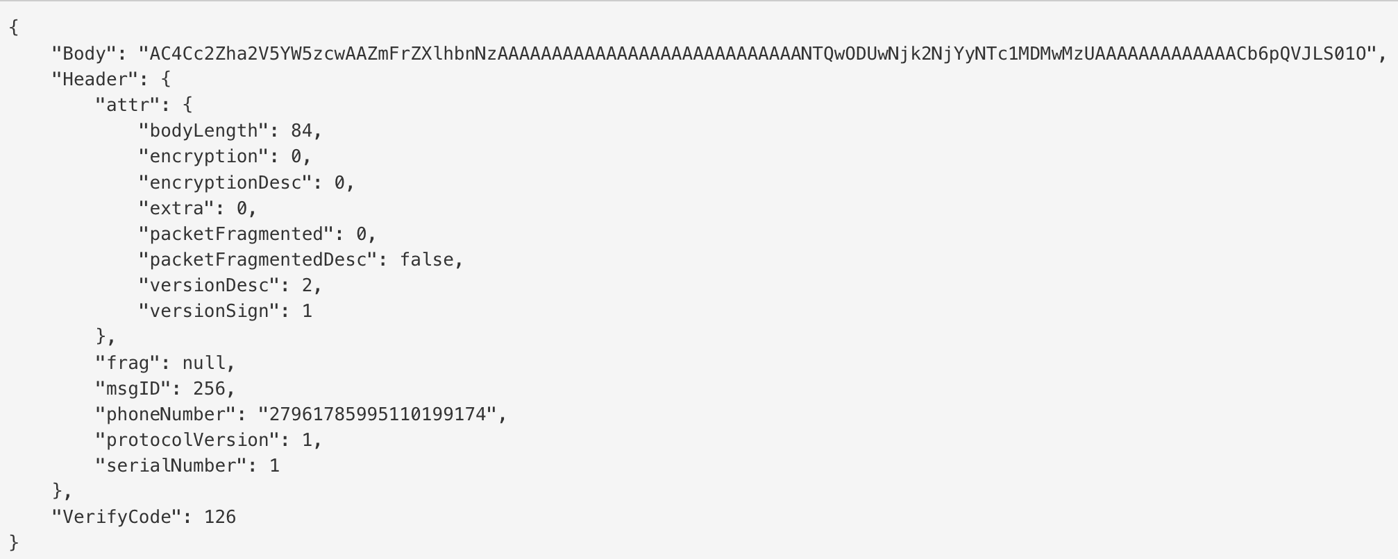 packet data example