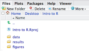 Your organized working directory