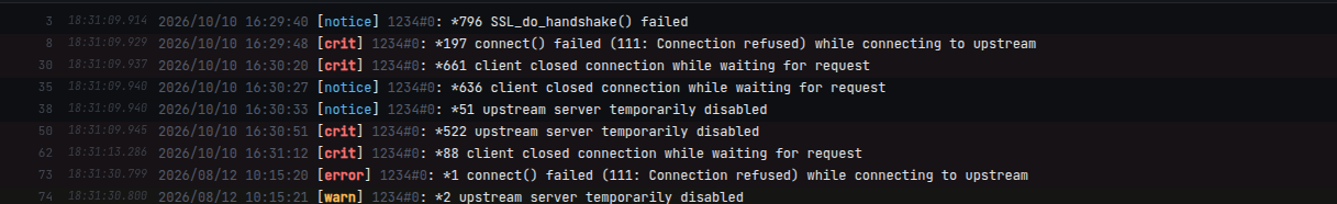 Nginx error log