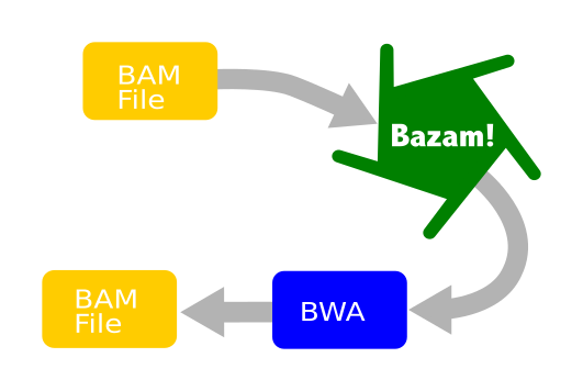 Bazam workflow for realignment