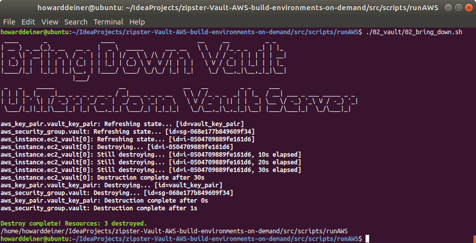 runAWS_02_vault_03_bring_down_01