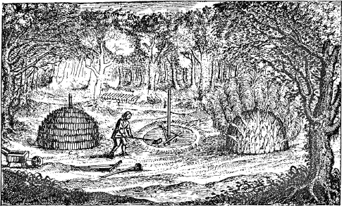 []{#c10752_001.xhtml#fig_004}[[Figure 1.4](#c10752_001.xhtml#fig_004a)]{.figureLabel} Charcoaling in early seventeenth-century England as depicted in John Evelyn's *Silva* (1607).