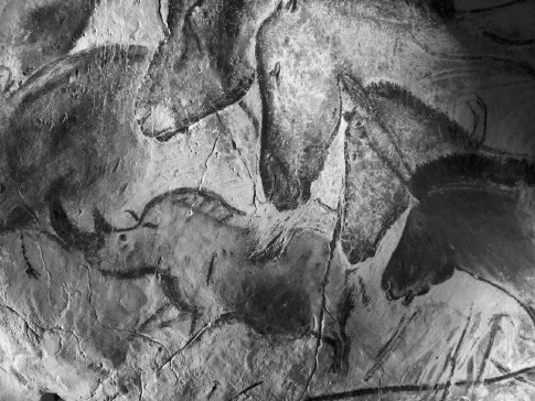 []{#c10752_002.xhtml#fig_003}[[Figure 2.3](#c10752_002.xhtml#fig_003a)]{.figureLabel} Charcoal paintings of animals on a wall of the Chauvet Cave in southern France. These remarkable likenesses were dated to between 32,900 and 30,000 years ago (Corbis).
