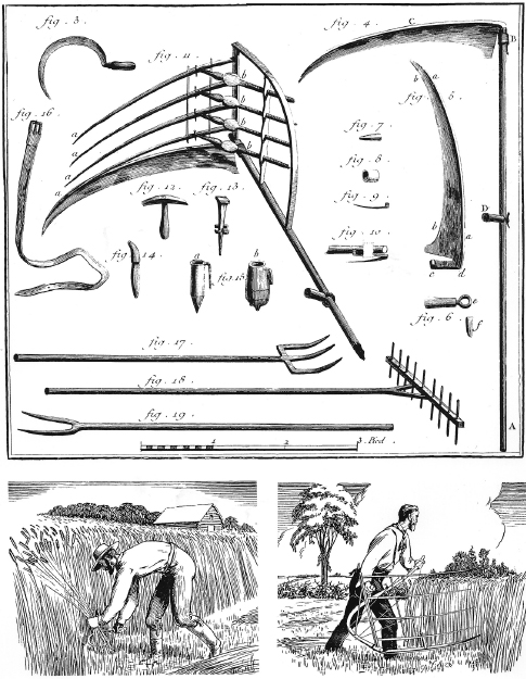 []{#c10752_003.xhtml#fig_002}[[Figure 3.2](#c10752_003.xhtml#fig_002a)]{.figureLabel} Sickle and scythes pictured in the French *Encyclopédie* (Diderot and d'Alembert 1769--1772). The simple scythe on the right was used for grass mowing, the cradled one for cereal harvesting. Also shown are tools for hammering (straightening) and sharpening the scythes, as well as a rake and pitchforks. The bottom illustrations show nineteenth-century American grain harvesting by sickle and cradled scythe.