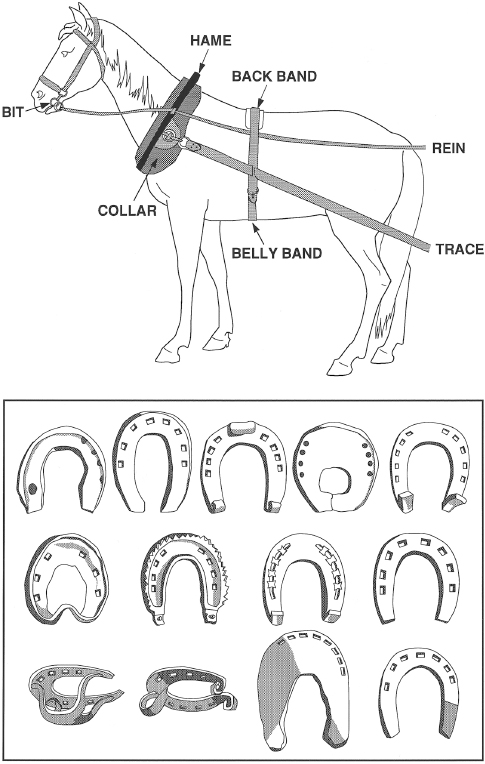 []{#c10752_003.xhtml#fig_006}[[Figure 3.6](#c10752_003.xhtml#fig_006a)]{.figureLabel} Components of a typical late nineteenth-century collar harness (based on Telleen 1977 and Villiers 1976)---and a variety of mid-eighteenth-century horseshoes (Diderot and d'Alembert 1769--1772). The shapes (starting on the left) are, respectively, typical English, Spanish, German, Turkish, and French horseshoes.