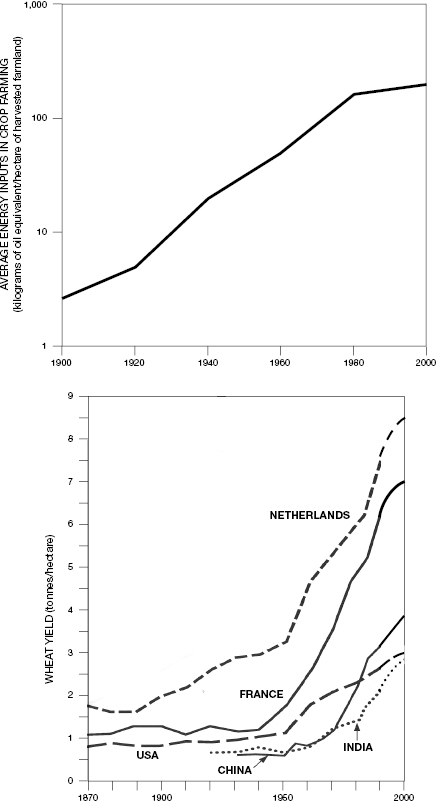 []{#c10752_006.xhtml#fig_007}[[Figure 6.7](#c10752_006.xhtml#fig_007a)]{.figureLabel} Total (direct and indirect) energy subsidies in modern farming (top), total harvests and rising wheat yields (bottom). Plotted from data in Smil (2008b), Palgrave Macmillan (2013), and FAO (2015a).