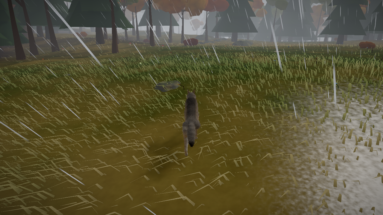 Opus β rainstorm