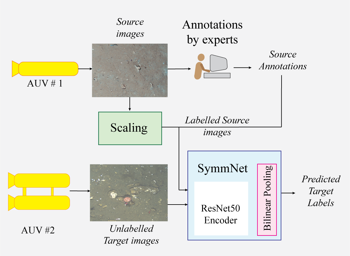 Pipeline for improved benthic classification