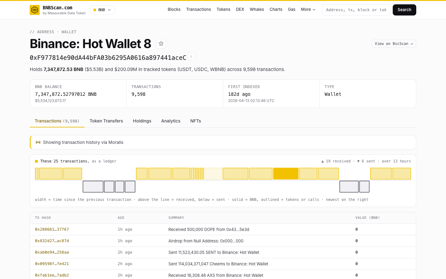 A BNB Chain address page leading with its holdings, its transactions drawn as a ledger